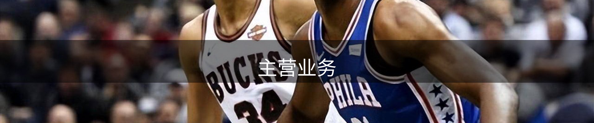 主营业务