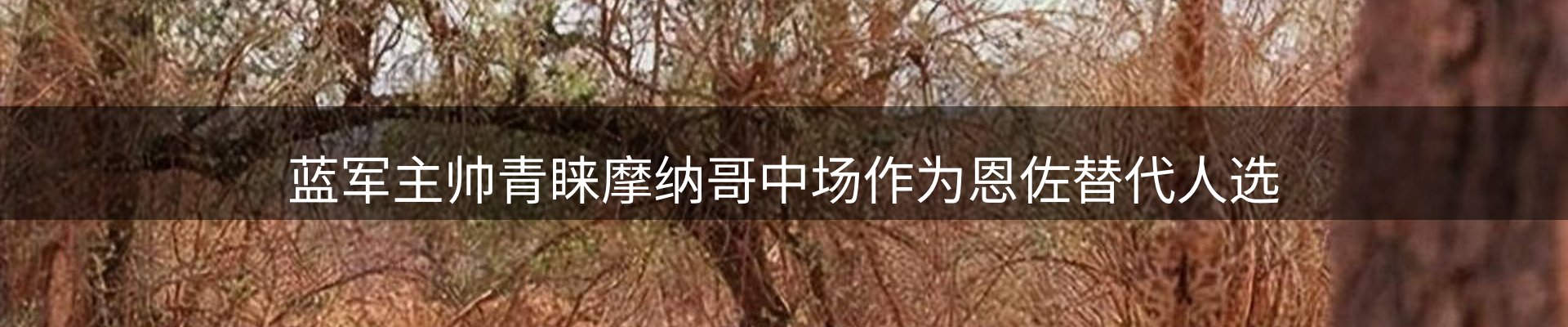 焦点概览