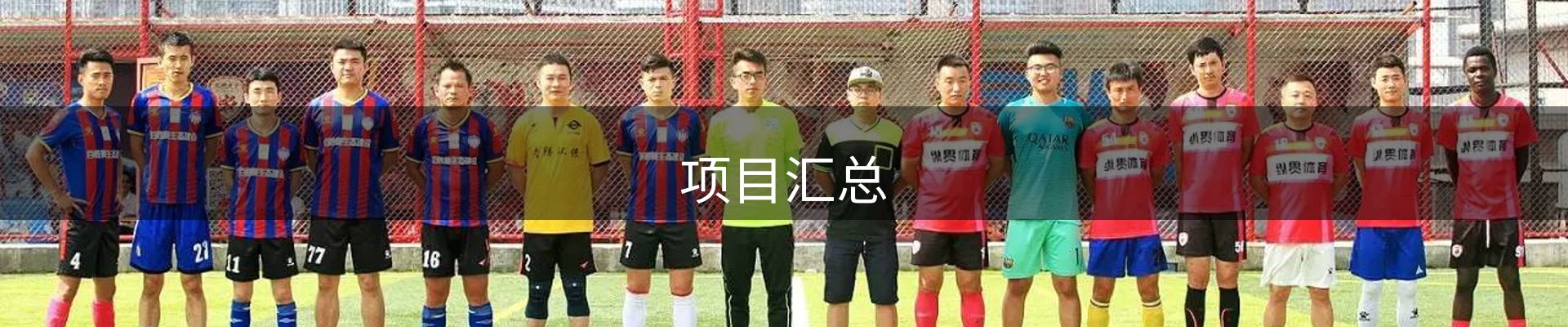 项目汇总